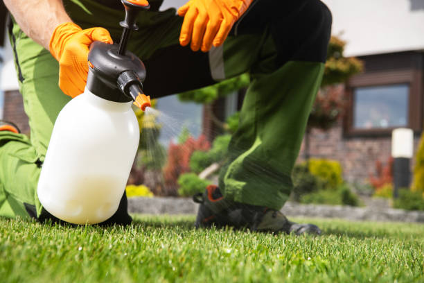 Best Pest Removal Services  in Welcome, NC