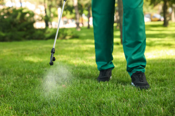 Best Emergency Pest Control  in Welcome, NC