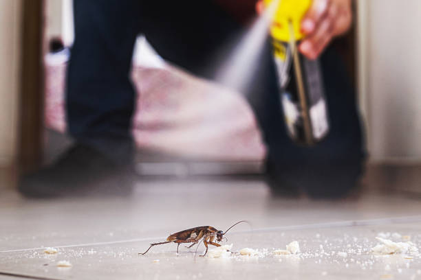 Best Mosquito Control Services  in Welcome, NC
