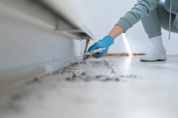 Best Affordable Exterminators  in Welcome, NC